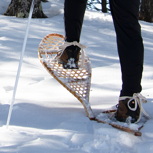 How To Float On Snowshoes: The Science of Flotation